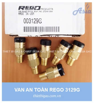 VAN AN TOÀN REGO 3129G 1/2''