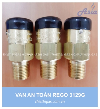 VAN AN TOÀN REGO 3129G 1/2''
