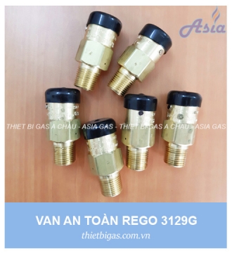 VAN AN TOÀN REGO 3129G 1/2''