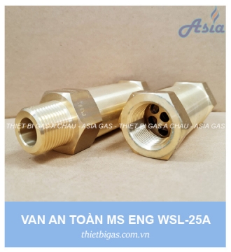 VAN AN TOÀN MS WSL-5111-25A