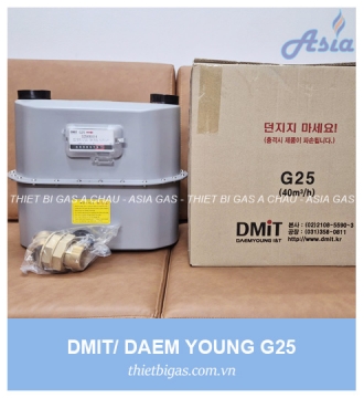 ĐỒNG HỒ LƯU LƯỢNG GAS G25 DAEMYOUNG DMIT
