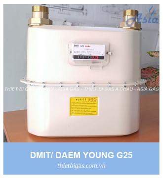 ĐỒNG HỒ LƯU LƯỢNG GAS G25 DAEMYOUNG DMIT