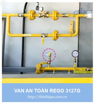 VAN AN TOÀN REGO 3127G 1/4''