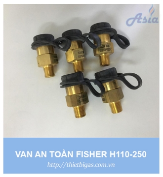 VAN AN TOÀN FISHER H110-250