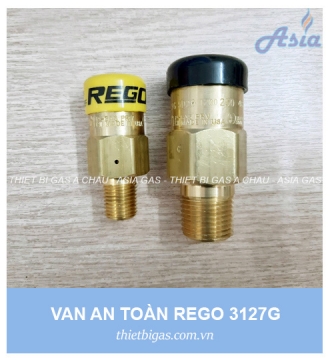 VAN AN TOÀN REGO 3127G 1/4''