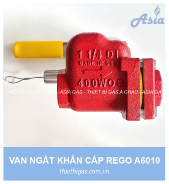 VAN NGẮT KHẨN CẤP REGO A6010