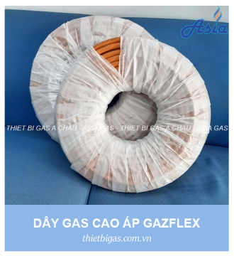 DÂY GAS CAO ÁP GAZFLEX