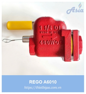 VAN NGẮT KHẨN CẤP REGO A6010