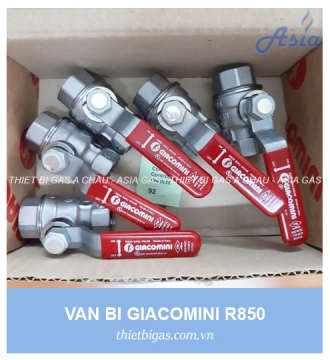 VAN BI GIACOMINI R850