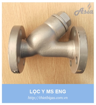 Y LỌC NỐI BÍCH DN50 MS ENG