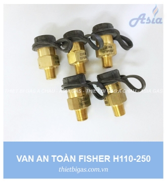 VAN AN TOÀN FISHER H110-250