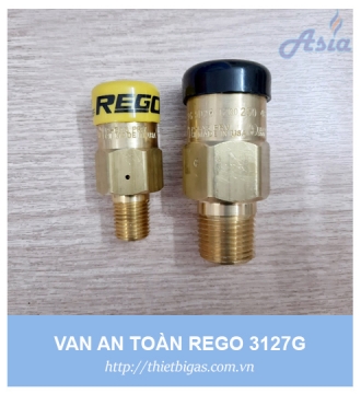 VAN AN TOÀN REGO 3127G 1/4''