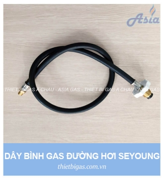 DÂY ĐUÔI HEO ĐƯỜNG HƠI SEYOUNG