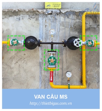 VAN CẦU NỐI BÍCH MS DN20