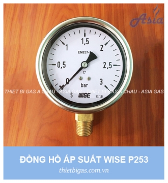 ĐỒNG HỒ ĐO ÁP SUẤT GAS P253 WISE
