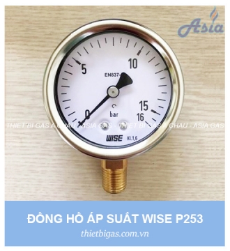 ĐỒNG HỒ ĐO ÁP SUẤT GAS P253 WISE