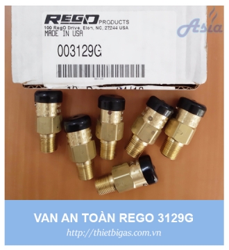 VAN AN TOÀN REGO 3129G 1/2''