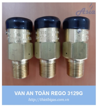 VAN AN TOÀN REGO 3129G 1/2''