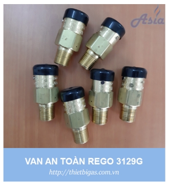 VAN AN TOÀN REGO 3129G 1/2''