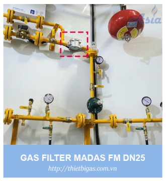 BỘ LỌC GAS MADAS FM DN25