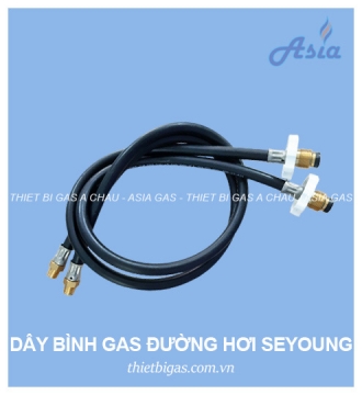 DÂY ĐUÔI HEO ĐƯỜNG HƠI SEYOUNG