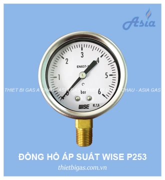 ĐỒNG HỒ ĐO ÁP SUẤT GAS P253 WISE