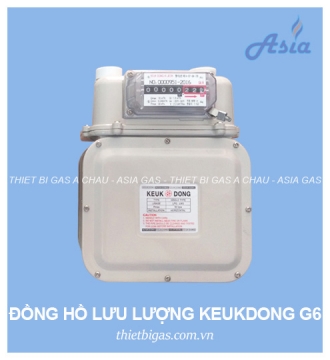 ĐỒNG HỒ ĐO LƯU LƯỢNG GAS G6