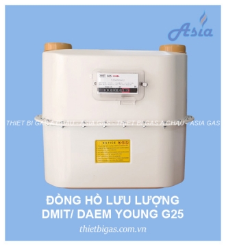 ĐỒNG HỒ LƯU LƯỢNG GAS G25 DAEMYOUNG DMIT