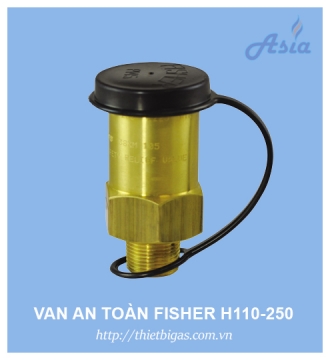 VAN AN TOÀN FISHER H110-250