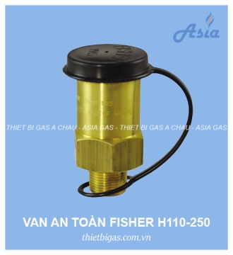 VAN AN TOÀN FISHER H110-250