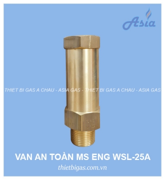 VAN AN TOÀN MS WSL-5111-25A