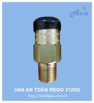 VAN AN TOÀN REGO 3129G 1/2''