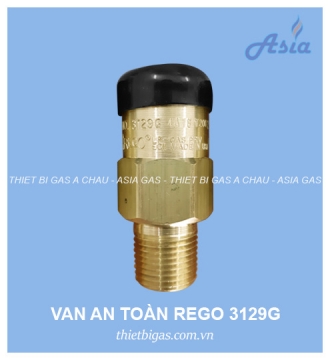 VAN AN TOÀN REGO 3129G 1/2''