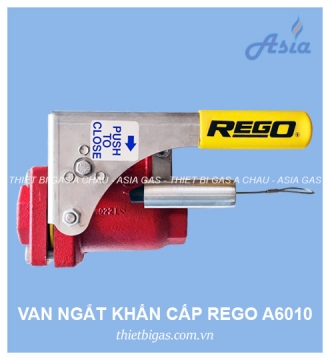 VAN NGẮT KHẨN CẤP REGO A6010